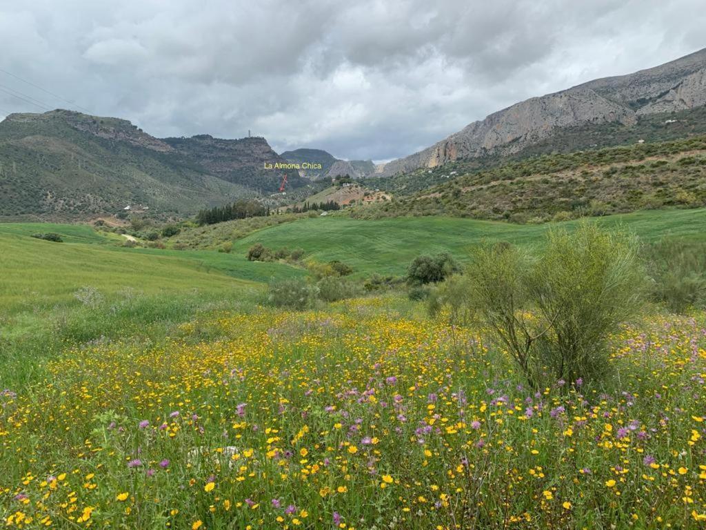 Penzion Casa Isabel - La Almona Chica El Chorro Exteriér fotografie